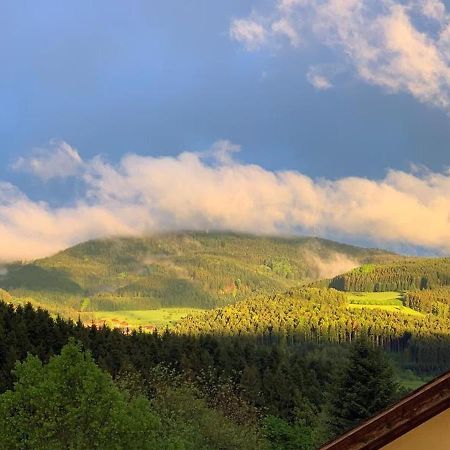 Black Forest Appartement - Brandenkopfblick Zell am Harmersbach Kültér fotó
