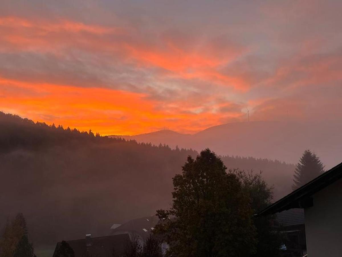 Black Forest Appartement - Brandenkopfblick Zell am Harmersbach Kültér fotó