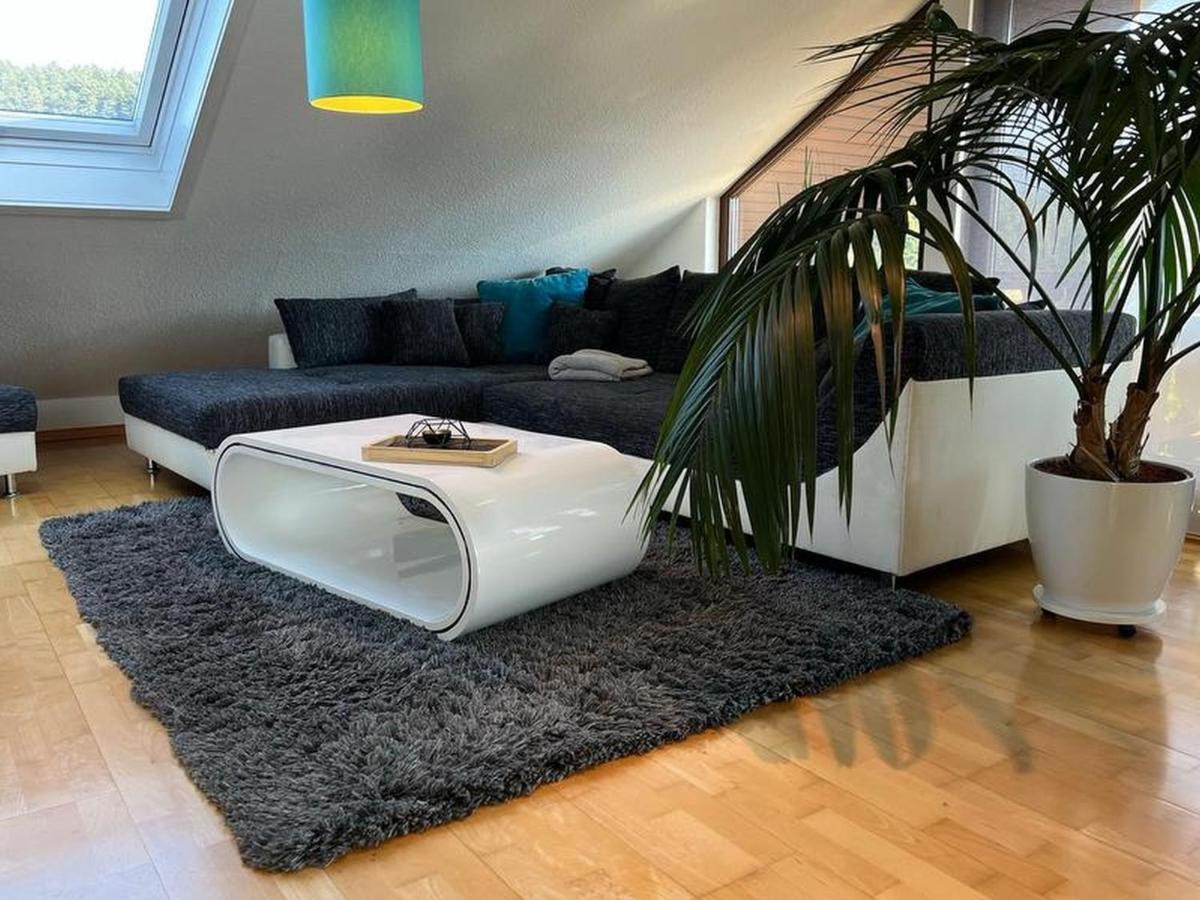 Black Forest Appartement - Brandenkopfblick Zell am Harmersbach Kültér fotó